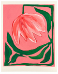 Poinsettias on Paper II